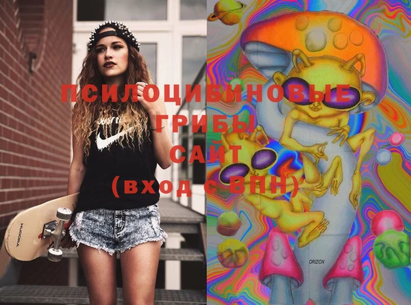 марки lsd Краснослободск
