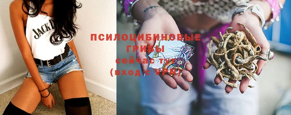 ГАЛЛЮЦИНОГЕННЫЕ ГРИБЫ Краснотурьинск