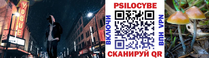 сколько стоит  Кяхта  Псилоцибиновые грибы Magic Shrooms 
